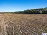 5.34 Acres Tract 6 Off Flinn Rd - Photo 13