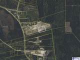 5.34 Acres Tract 6 Off Flinn Rd - Photo 16