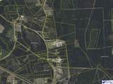 5.34 Acres Tract 6 Off Flinn Rd - Photo 17