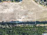 5.34 Acres Tract 6 Off Flinn Rd - Photo 2