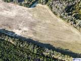 5.34 Acres Tract 6 Off Flinn Rd - Photo 3