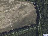 5.34 Acres Tract 5 Off Flinn Rd - Photo 12
