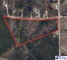 Hartsville-Ruby Road - Photo 2