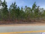  Hartsville-Ruby Road - Photo 3