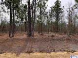  Hartsville-Ruby Road - Photo 6