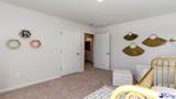 1005 Garden Sprout Drive - Photo 30