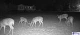 485 Jennings Rd - Photo 2
