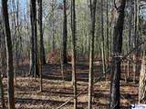 16.83 acres Saddlebrook Lane - Photo 16