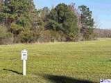 11.31 acres Darlington Street - Photo 4