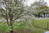 208 Hilton Street - Photo 14