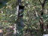 75 acres N. Old Georgetown Road - Photo 10