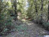 75 acres N. Old Georgetown Road - Photo 14