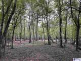 75 acres N. Old Georgetown Road - Photo 20