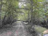75 acres N. Old Georgetown Road - Photo 22
