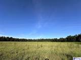 75 acres N. Old Georgetown Road - Photo 5