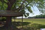 936 Chell Pine Circle - Photo 31