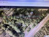 4564 Hartsville Hwy - Photo 1