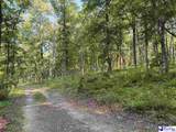 69 Acres Freight Road - Photo 11