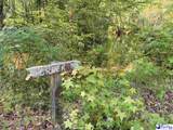 69 Acres Freight Road - Photo 13
