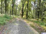 69 Acres Freight Road - Photo 17
