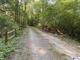 69 Acres Freight Road - Photo 19