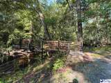 69 Acres Freight Road - Photo 3