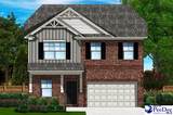 1241 Summer Duck Loop (Lot 71) - Photo 1