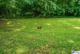213 Newman Swamp Rd - Photo 32