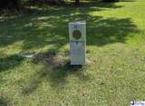 107 Wallace Park Lane - Photo 5