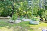 1059 Mills Rd - Photo 59