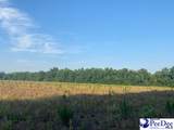 700 Turnpike Road - Photo 39