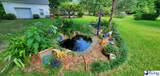 803 Ansel Street - Photo 3