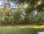 165 Forrest Lane - Photo 13