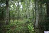 53 Acres Old River Rd - Photo 10