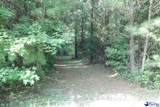 53 Acres Old River Rd - Photo 11