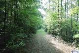 53 Acres Old River Rd - Photo 12