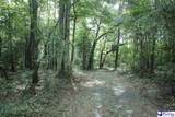 53 Acres Old River Rd - Photo 13