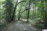 53 Acres Old River Rd - Photo 14