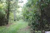 53 Acres Old River Rd - Photo 15