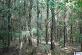 53 Acres Old River Rd - Photo 16