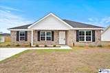 869 Merilou Way - Photo 1