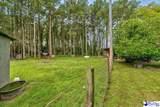 820 Oleander Drive - Photo 10