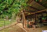 820 Oleander Drive - Photo 11