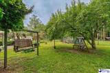 820 Oleander Drive - Photo 13