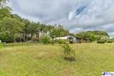 820 Oleander Drive - Photo 15