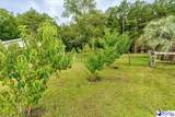 820 Oleander Drive - Photo 19