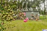 820 Oleander Drive - Photo 5