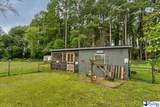 820 Oleander Drive - Photo 6