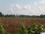 1248 Bethlehem Rd - Photo 13