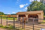 1907 Lide Springs Road - Photo 30